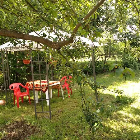 майсторът и маргарита